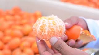 Beneficios y Propiedades de la Mandarina para la Salud [upl. by Areip]