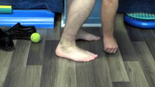 Tibialis Posterior and Fibularis Longus Rehabilitation [upl. by Eiramadnil]