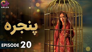 Pakistani Drama  Pinjra  Episode 20  Aplus Gold  Yumna Zaidi Nauman Aijaz  CZ1O [upl. by Hsoj689]