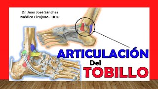 🥇 ARTICULACIÓN DEL TOBILLO ¡Explicación Sencilla [upl. by Honebein]