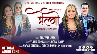 New Tamang Selo Song quotDolmo quot By Yunik Dong amp Priya Thokar  Shuvam Lama  20802024  AudioSOng [upl. by Krm354]