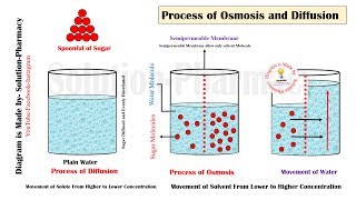 Osmosis and Diffusion  Difference Between Osmosis amp Diffusion  Animation of Osmosis and Diffusion [upl. by Pandolfi]