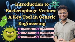 Introduction to Bacteriophage Vectors A Key Tool in Genetic Engineering [upl. by Radnaxela]