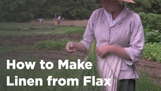 How to Make Linen from Flax [upl. by Judas]