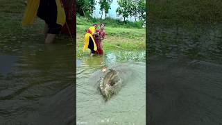 Unique Fishing video in pond fishingmethod fish hookfishing bestfishingtechniques villagelife [upl. by Maloney460]