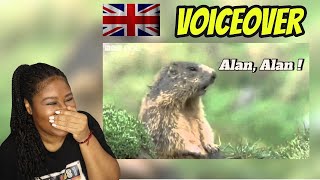 American Reacts Funny British Animal Voiceovers [upl. by Ingeborg658]