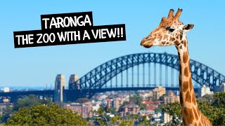 A Day at Taronga Zoo Sydney [upl. by Aratehs137]