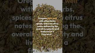 The Intriguing Aroma of Oregano Fragrance Breakdown Oregano HerbalNotes [upl. by Simdars]