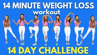 Weight Loss Workout  14Minute Workout at Home  Do this for 14 days  All Standing Moves [upl. by Ylrebmit]