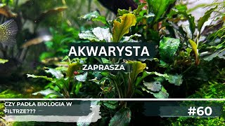 Wyłączony filtr [upl. by Nelda]