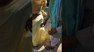 Dhoti bandhne ka desi bihari maithili style [upl. by Winshell]