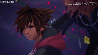 What Marluxia whispered to Sora finally revealed shocking [upl. by Lisabet]