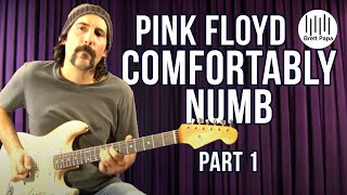 Pink Floyd  Comfortably Numb  Ending Guitar Solo Lesson  Part1 [upl. by Klemperer350]