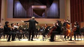 Sinfonia from Cantata 29 Partita No 3 in E Major  Bach [upl. by Ateinotna]