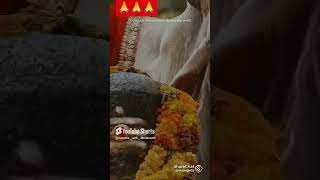 🕉️🕉️🔥Shiva ji Parvati mata ka sabse best status jarur dekhen🕉️🕉️🔥shorts mahadev status [upl. by Baum733]