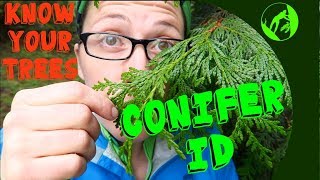 Know Your Trees  Conifer Identification [upl. by Herculie]