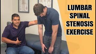 Lumbar Spinal Stenosis Exercise Routine [upl. by Hametaf]