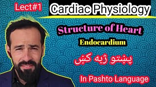 Le1 Physiology of Heart  Structure of heart  Layers of Heart  Structure of Endocardium  Part1 [upl. by Mita760]