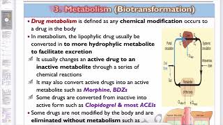 🔴 7 Metabolism Part 1 First pass metabolism DrHazem Sayed [upl. by Ahsimot]