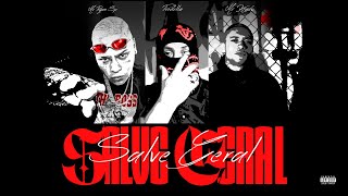 Predella  “SALVE GERAL” feat MC Ryan MC Kadu [upl. by Hussar224]