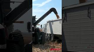 Demco 1100 Single Auger Grain Cart In Action [upl. by Aisat]