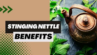 Stinging nettle benefits [upl. by Pedaias192]