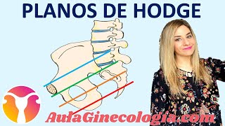 PLANOS DE HODGE para definir la ALTURA de la PRESENTACIÓN en el PARTO  Ginecología y Obstetricia [upl. by Bibah]