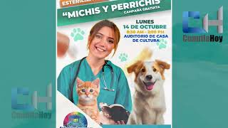 CAMPAÑA DE ESTERILIZACIÓN DE PERROS Y GATOS EN ATLATLAHUCAN [upl. by Eznyl]