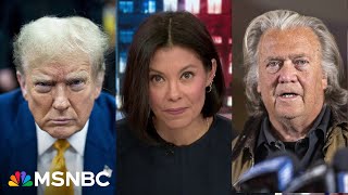 How did this happen Alex Wagner examines the MAGA themes that drew voters to Trump [upl. by Gavra]