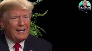 Between two Ferns Trump amp Zach Galifianakis [upl. by Gonroff]