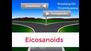 Eicosanoids in 2 minutes Prostaglandins Prostacyclin Thromboxane and Leukotrienes [upl. by Danialah203]