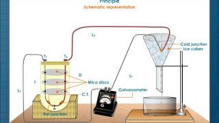 Thermoelectric Thermometer [upl. by Ezirtaeb]