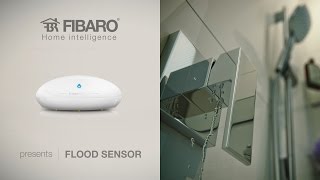 FIBARO Flood Sensor [upl. by Farica4]