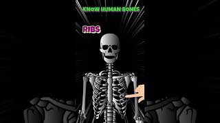 Major Bones in Human Body explained in 40 Seconds [upl. by Annel]