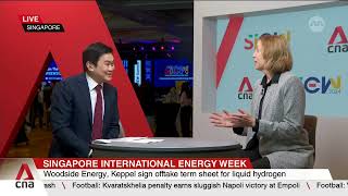 Woodside Energy CEO on LNG outlook and green transition plans [upl. by Asiram]