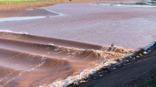 Tidal Bore Moncton NB [upl. by Spielman818]