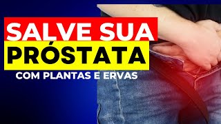 Descubra as Ervas Milagrosas que Salvam sua Próstata  Previna e Reduza Doenças da PRÓSTATA [upl. by Sokairyk]