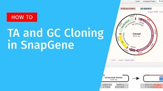 TA and GC Cloning with SnapGene [upl. by Otaner]