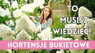 HORTENSJE BUKIETOWE w ogrodzie  Wszystko co musisz wiedzieć [upl. by Rednaeel]