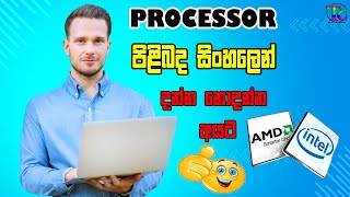 Processor Experiment  Sinhala  Tronic Class👌 [upl. by Enyar801]