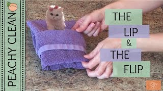 The Fancy but Shockingly Easy Towel Fold Youve Got to Try [upl. by Ackley]