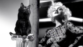 OwlKitty in Vogue Madonna [upl. by Brynna]