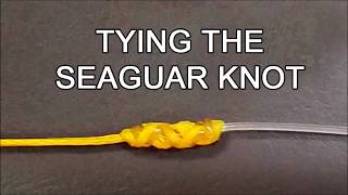 Tying the SeaguarLefty Kreh knot [upl. by Ymmit]