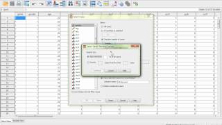 Random Sample in SPSS [upl. by Stanwin]