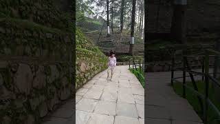 softly trending karanaujla kufri shimla [upl. by Michaele]