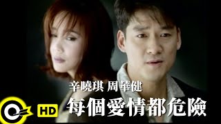 辛曉琪 Winnie Hsinamp周華健 Wakin Chau【每個愛情都危險 Love is risky】Official Music Video [upl. by Any]