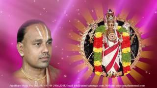 Sudarsanasathakam  Malola Kannan  Sri Sudarsanasatakam [upl. by Goddord]