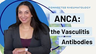 ANCA The Vasculitis Antibodies [upl. by Ihdin]