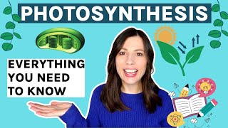 Photosynthesis AQA Alevel Everything you need to know [upl. by Mosenthal534]