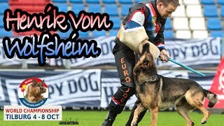 WUSV 2017 David Buss Henrik Vom Wolfsheim C Protection 91pts [upl. by Almat]